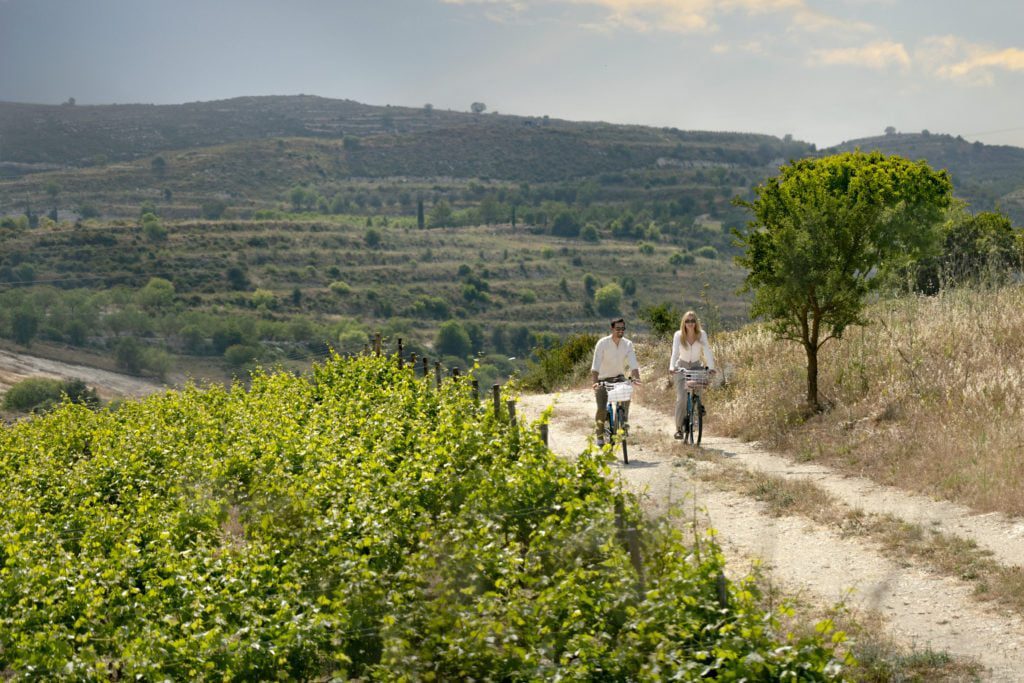 Nature_vineyards-1024x683jpg - Sovereign Estates Sovereign Estates Two people biking along a dirt country path with vineyards on the left and a tree on the right 2026 Two people biking along a dirt country path with vineyards on the left and a tree on the right