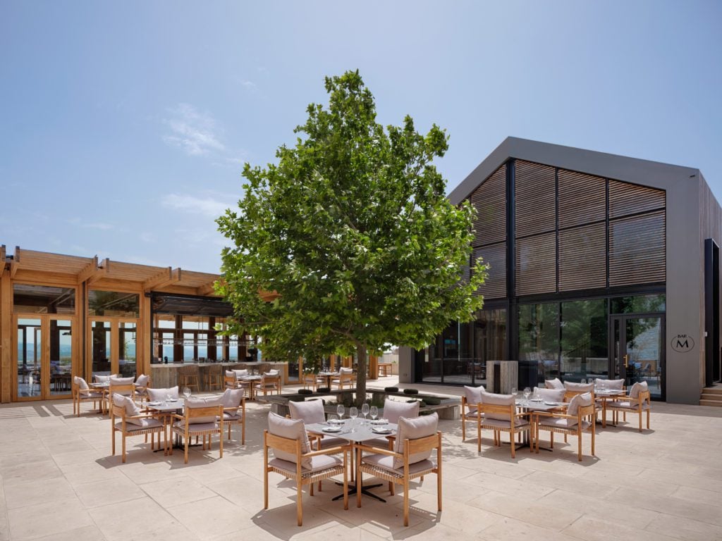 The-Plateia-1024x768jpg - Sovereign Estates Sovereign Estates Outdoor restaurant terrace with wooden tables and chairs arranged around a central leafy tree modern glass fronted building in the background 2026 Outdoor restaurant terrace with wooden tables and chairs arranged around a central leafy tree modern glass fronted building in the background