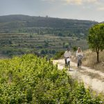 Sovereign Estates   Two people riding bicycles along a dirt rural path with vineyards on the left and hills in the distance under a blue sky a tree on the right 2026 Two people riding bicycles along a dirt rural path with vineyards on the left and hills in the distance under a blue sky a tree on the right